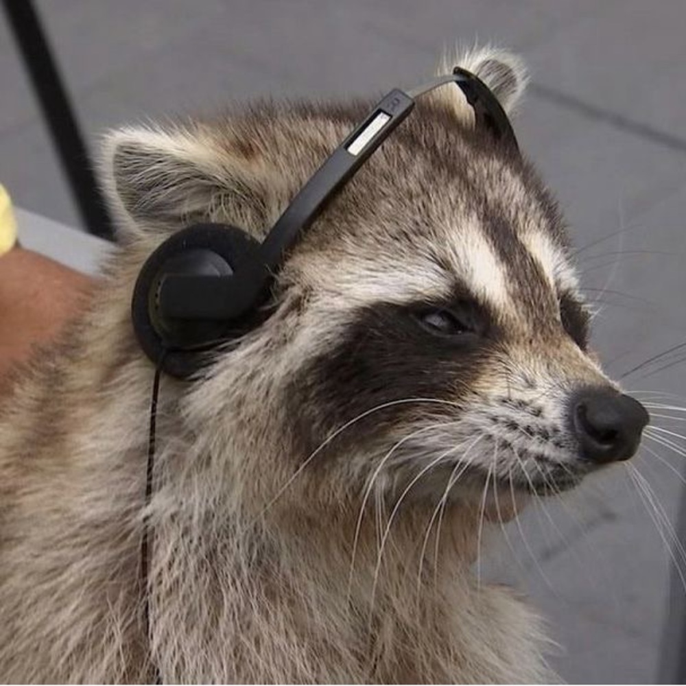 Meet your Posher, Char